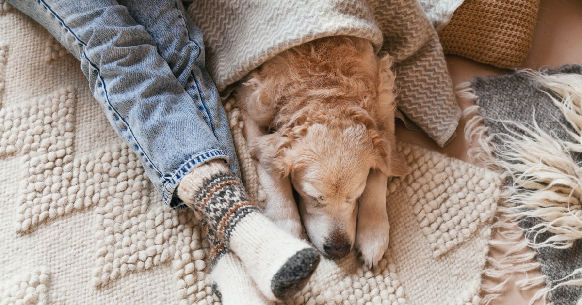 klimatistika-afygranthres-exoikonomhsh-03