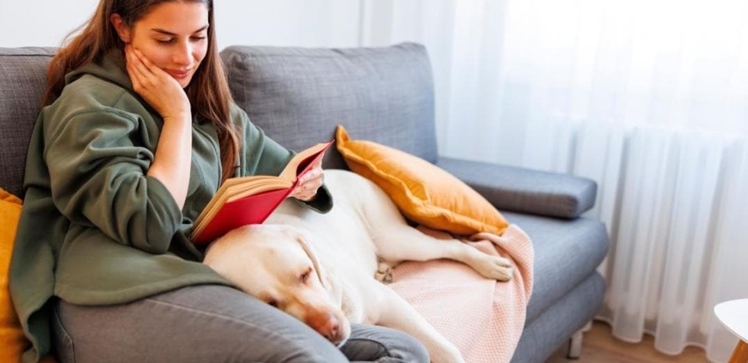 ΒΙΒΛΙΟ ΠΡΟΤAΣΕΙΣ