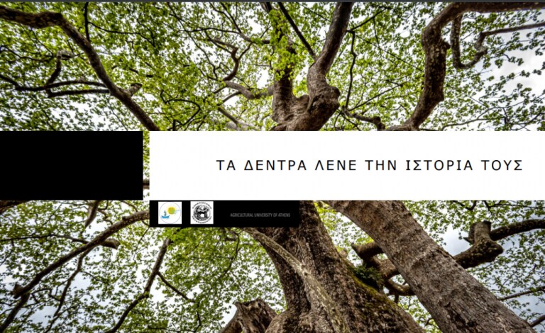 Μάθε για τα υπεραιωνόβια δέντρα της Πελοποννήσου και μπες στον μαθητικό διαγωνισμό!