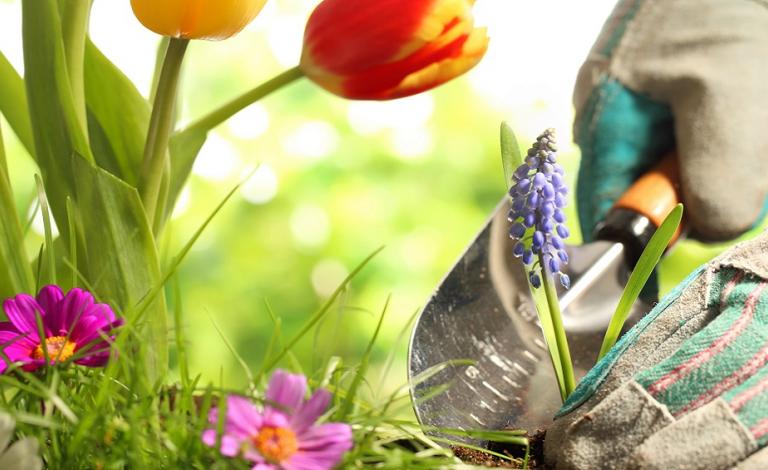 Στο βάθος κήπος:Τα οφέλη της κηπουρικής και γιατί να την ξεκινήσεις!