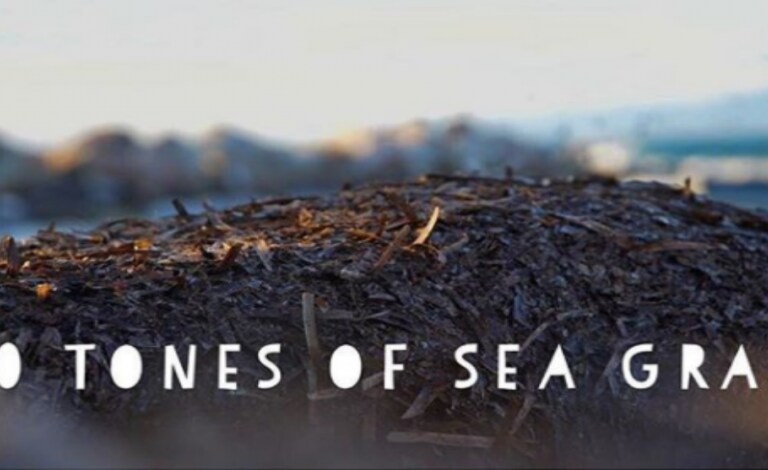 Ένας Έλληνας στη λίστα του Forbes "30 Under 30"