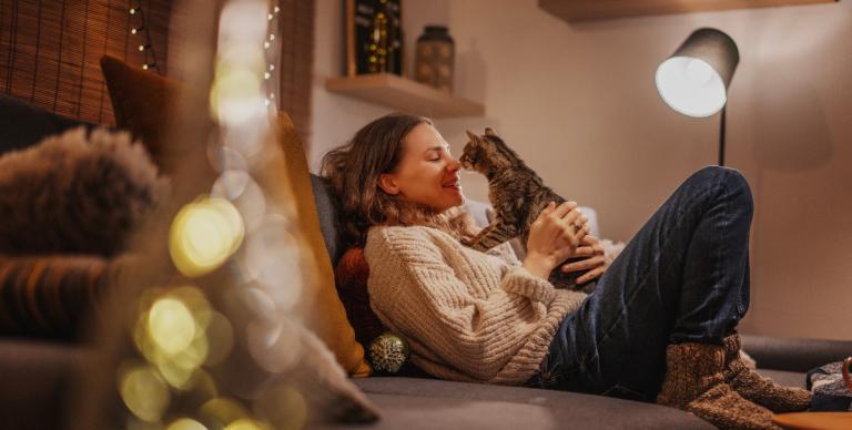 ΕΞΟΠΛΙΣΜΟΣ ΣΠΙΤΙΟΥ