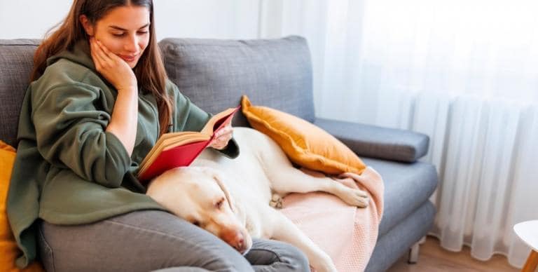 ΒΙΒΛΙΟ ΠΡΟΤAΣΕΙΣ