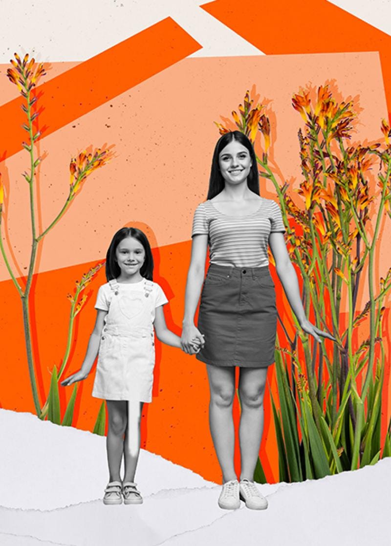 ΒΙΒΛΙΟ ΠΡΟΤAΣΕΙΣ