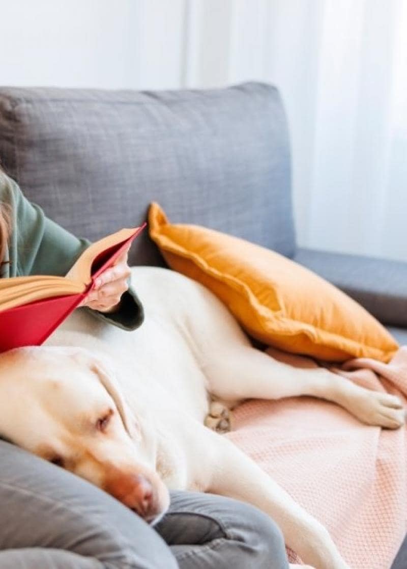 ΒΙΒΛΙΟ ΠΡΟΤAΣΕΙΣ