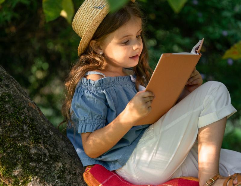 ΒΙΒΛΙΟ ΠΡΟΤAΣΕΙΣ