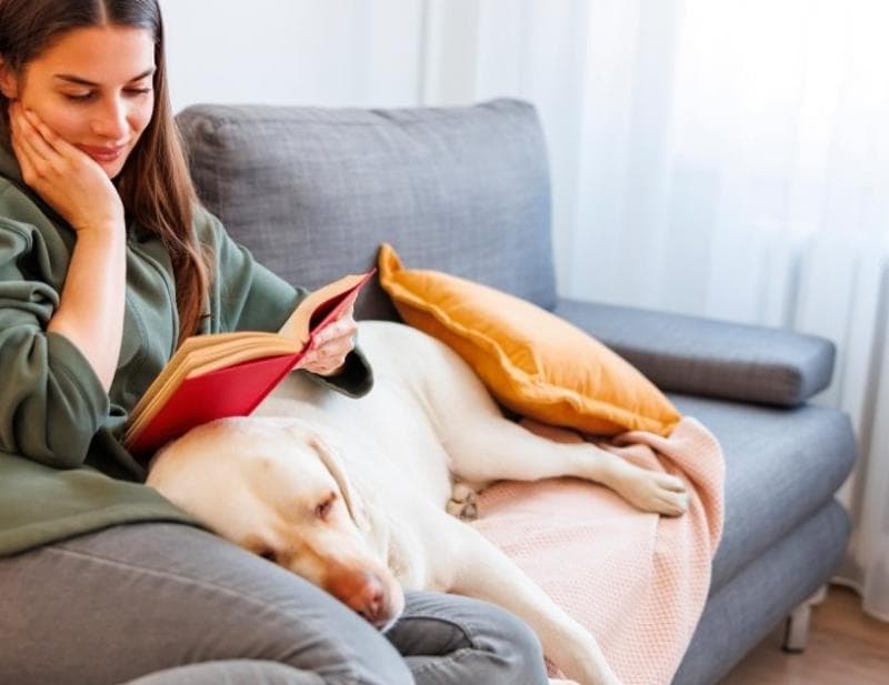 ΒΙΒΛΙΟ ΠΡΟΤAΣΕΙΣ